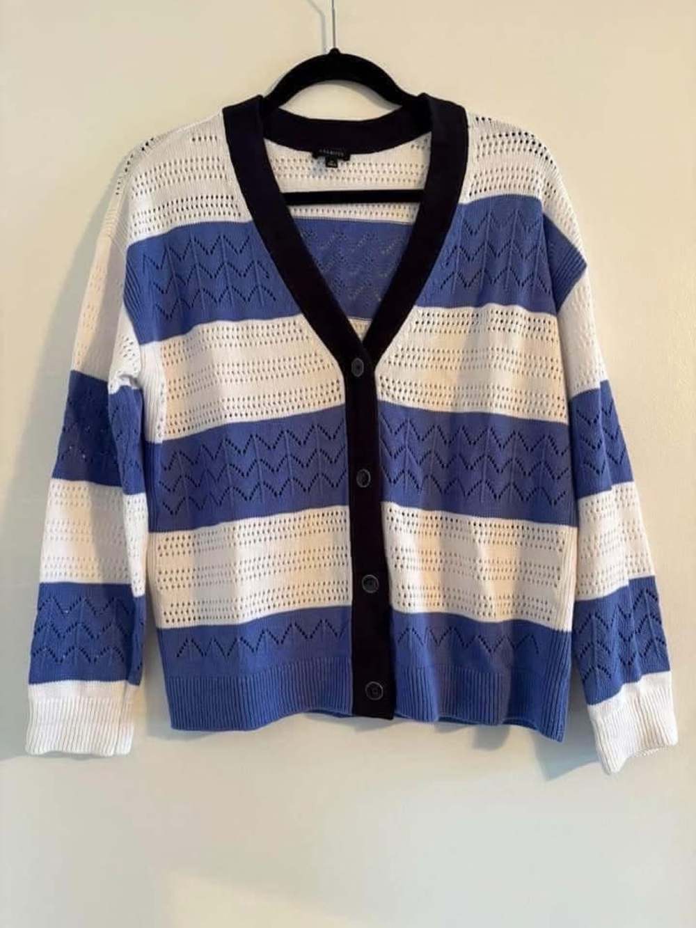 Talbots Blue and White Striped Button-Front Cardigan